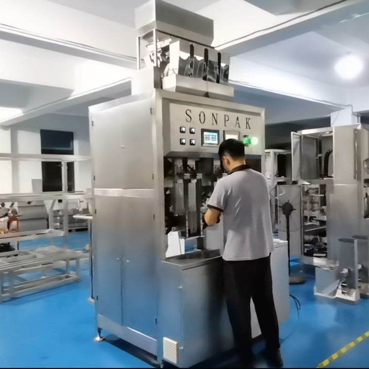 自動(dòng)給袋式真空包裝機(jī)：常見(jiàn)問(wèn)題及解決策略