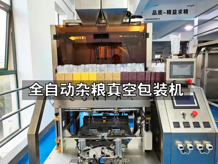 全自動(dòng)雜糧真空包裝 糧磚自動(dòng)包裝機(jī)
